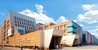 Lovely Professional University